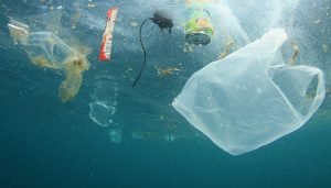 Read more about the article Combattre la pollution